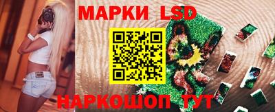 дмт Шебекино