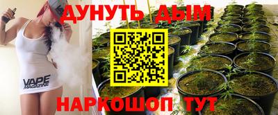 дмт Шебекино