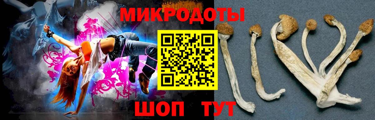 Бирск  Псилоцибиновые грибы мицелий  Вход с VPN  Галлюциногенные грибы Magic Shrooms 