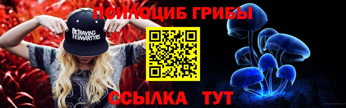 закладка  Бирск  Псилоцибиновые грибы MAGIC MUSHROOMS 