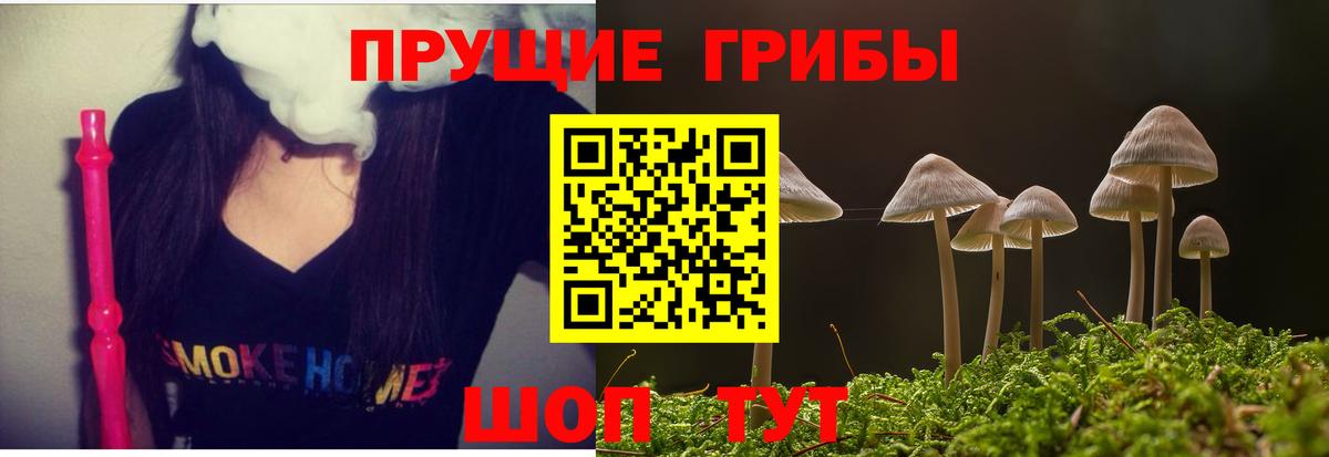 Галлюциногенные грибы Magic Shrooms Бирск